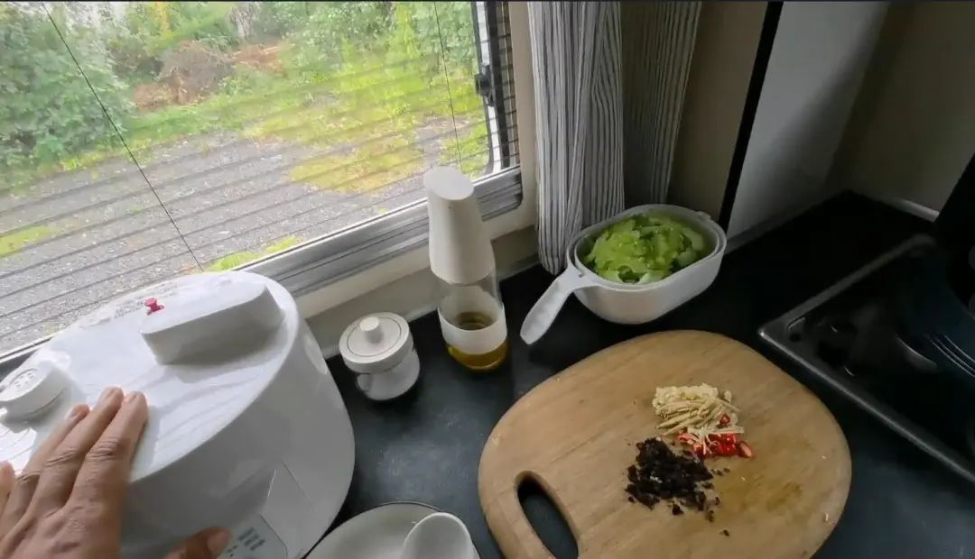 58歲的她，自駕房車旅居，一人兩犬，活成了自己喜歡的樣子